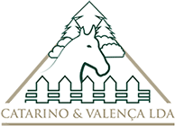 Catarino & Valença